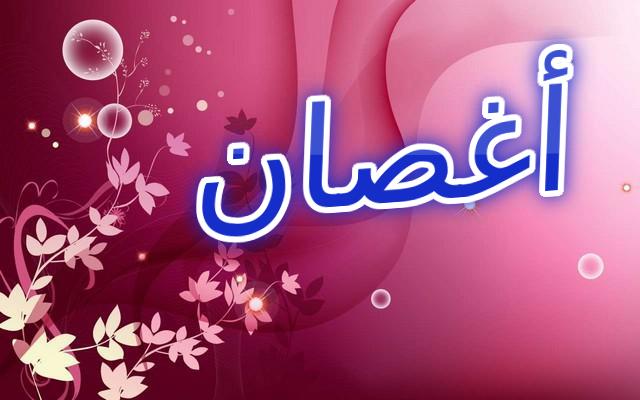 معنى اسم أغصان بالكامل