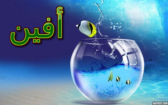 معنى اسم أفين 2025 وحكم تسميته في الإسلام