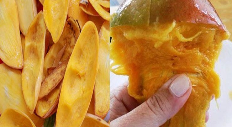 اهم 5+ فوائد المانجو للحامل والجنين