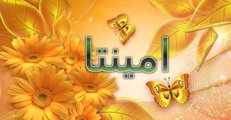 معنى اسم امينتا بكامل التفاصيل (المدافع او المحامي)