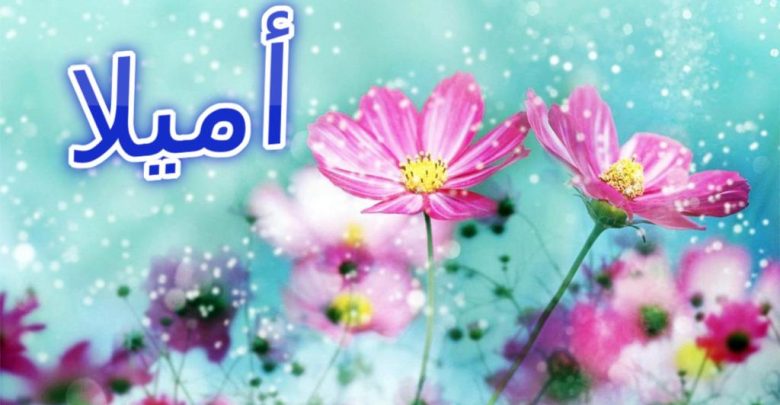 معنى اسم أميلا 2025 (الأمل والكفاح والعمل)