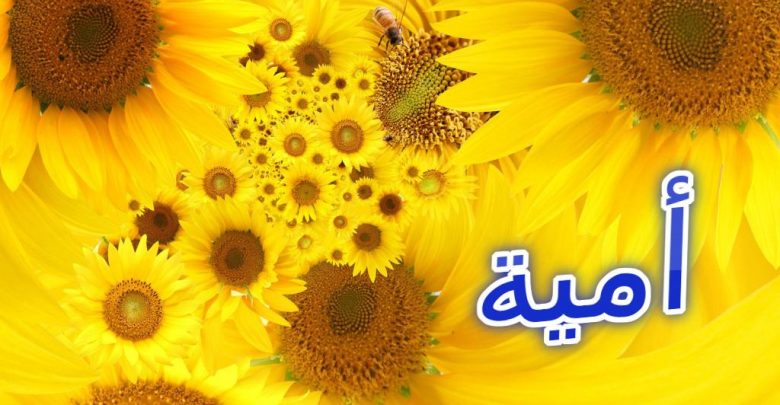 معنى اسم أميه بالتفصيل (الجارية او المملوكة) وحكمه الشرعي