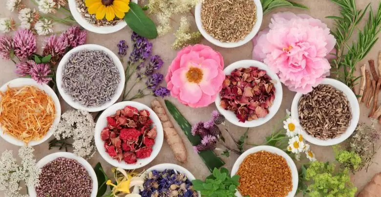 افضل 5+ اعشاب تساعد على الحمل وتنشيط المبايض