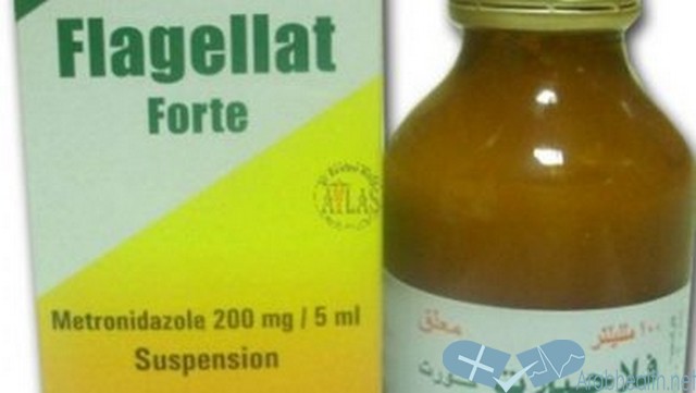 شراب فلاجيلات فورت مضاد للطفيليات FLAGELLAT FORTE