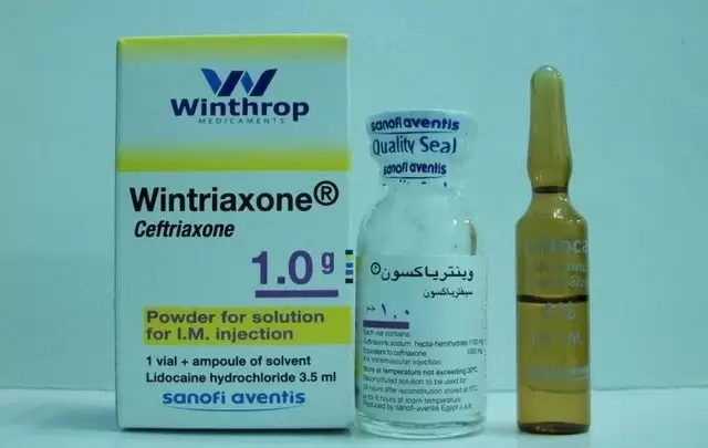 نشرة حقن وينترياكسون لعلاج التهاب العظام WINTRIAXONE