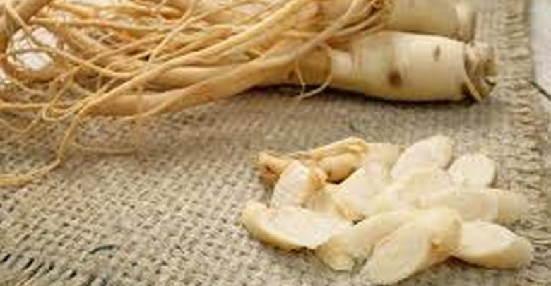 فوائد الجنسنج للنساء 2025