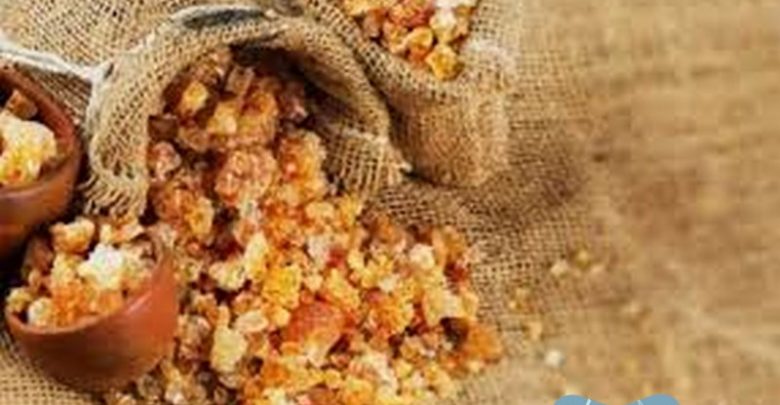 اهم 4+ فوائد الصمغ العربي للكبد 2025