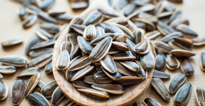 تفسير رؤية اللب في الحلم أو المنام