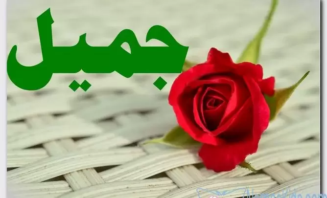 معنى اسم جميل وصفات حامل الاسم (الإحسان)