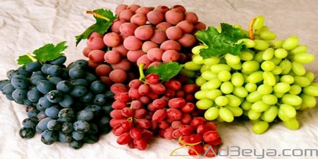 تفسير حلم العنب