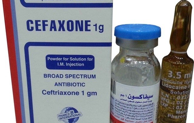 دواعي استعمال حقن سيفاكسون مضاد حيوي Cefaxone