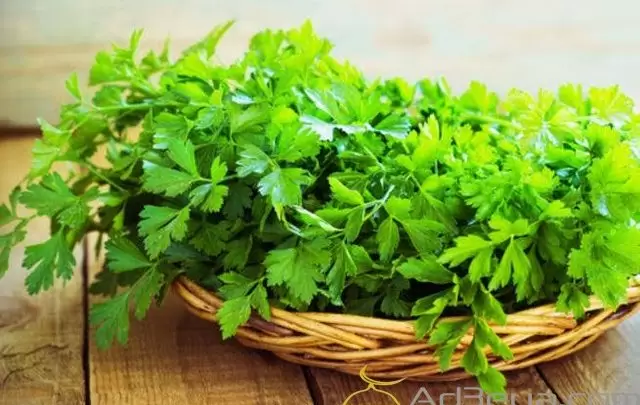 تفسير حلم البقدونس في المنام بالتفصيل