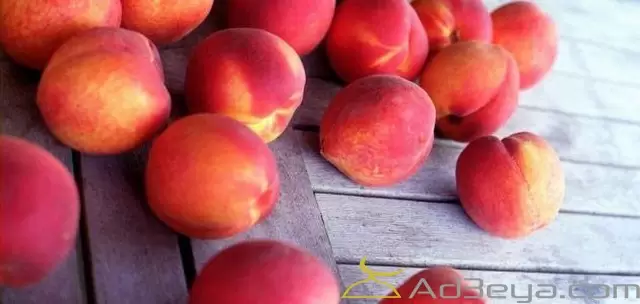 تفسير حلم الخوخ في المنام بالتفصيل للنابلسي وابن سيرين