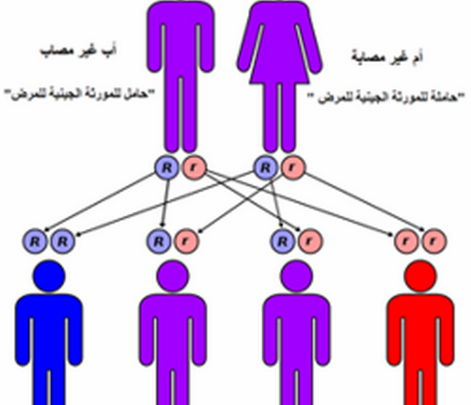 هل حمى البحر المتوسط معدية