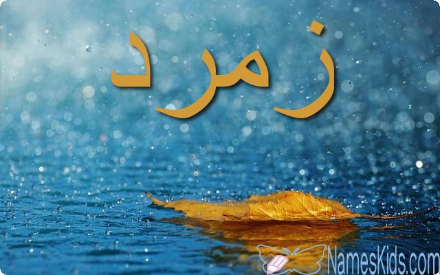 معنى اسم زمرد بالتفصيل Zomorod