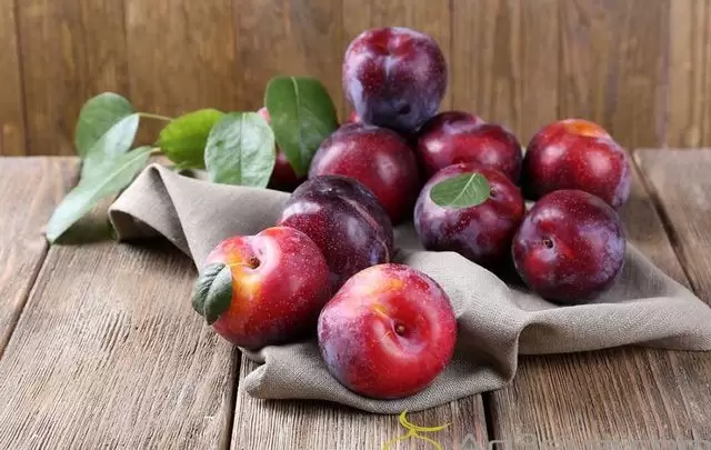 تفسير حلم البرقوق في المنام بالتفصيل