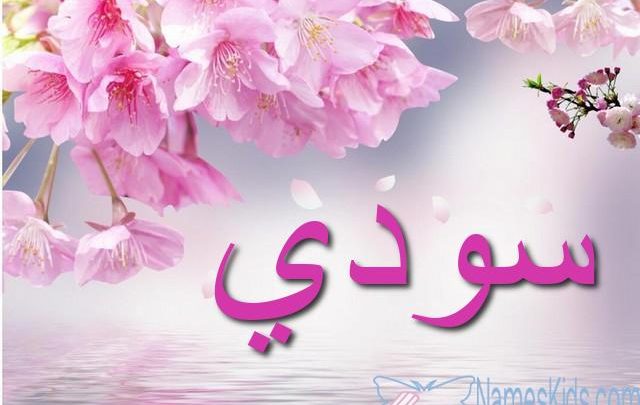 معنى اسم سودي بالتفصيل Sody