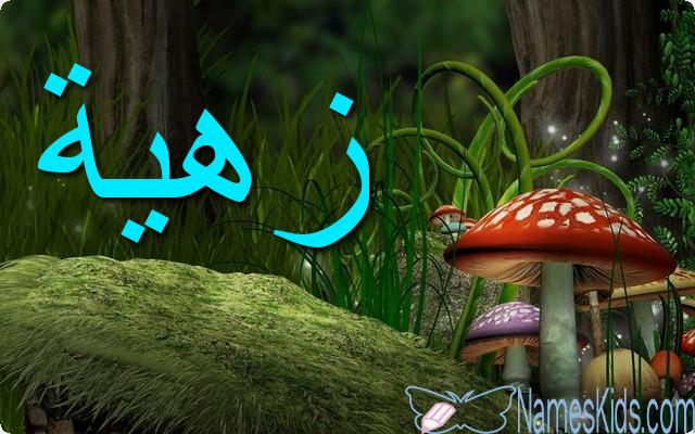 معنى اسم زهية وأصله Zahia