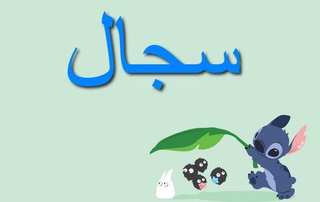 معنى اسم سجال بالتفصيل Sajal