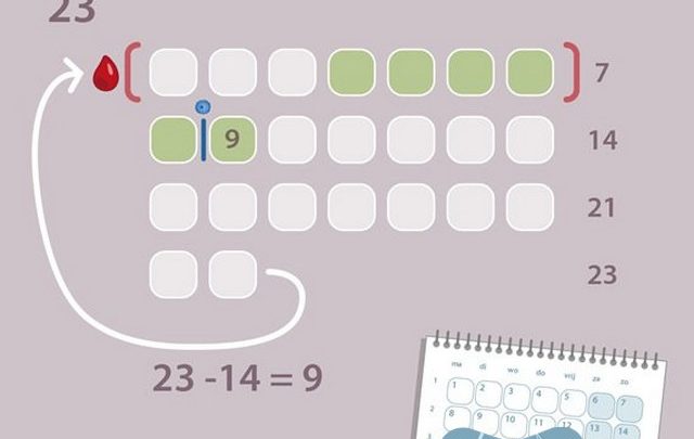 كيفية حاسبة التبويض لحساب فترات حدوث الحمل