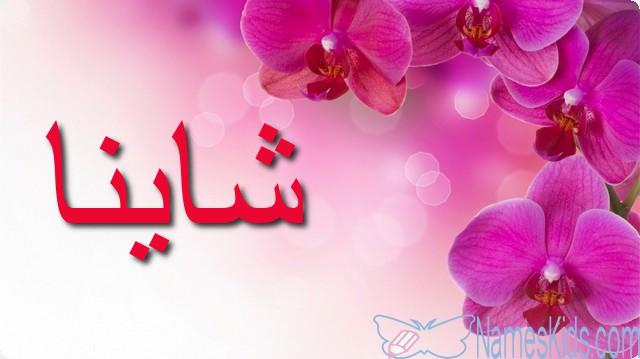 معنى اسم شاينا وأصله Shaina