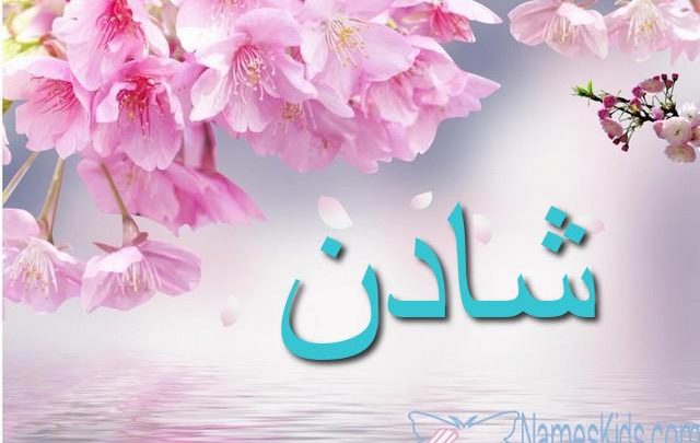 معنى اسم شادن وأصله Shaden موقع مثقف