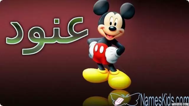 معنى اسم عنود بالتفصيل Anod