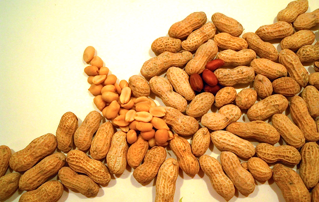 تفسير رؤية أكل الفول السوداني في المنام لابن سيرين