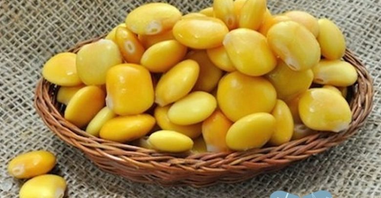 ماهي فوائد الترمس الحلو