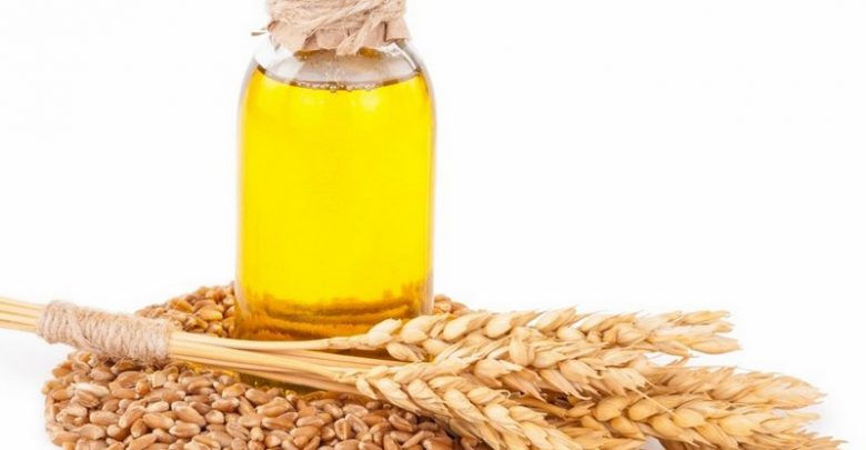 معلومات عن زيت جنين القمح