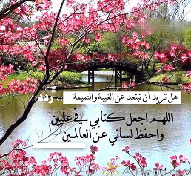 دعاء اللهم اجعل كتابي في عليين