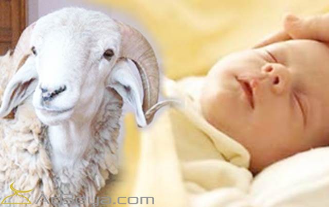 دعاء العقيقة عند الذبح مستجابة