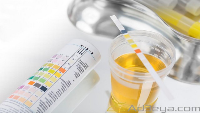 تفسير حلم البول في المنام بالتفصيل لابن سيرين