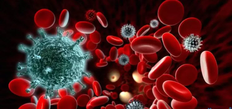 بحث عن أثر المواد الكيميائية المسرطنة في انقسام الخلايا وتكاثرها