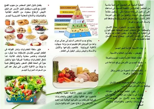 مطويات عن الغذاء الصحي المتوازن