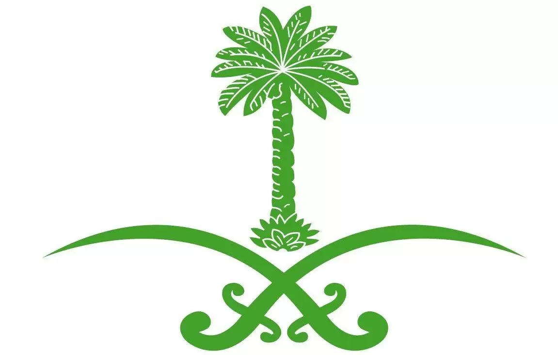 رسومات رسم علم السعودية